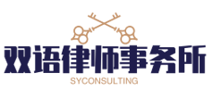 Logo SY CONSULTING color